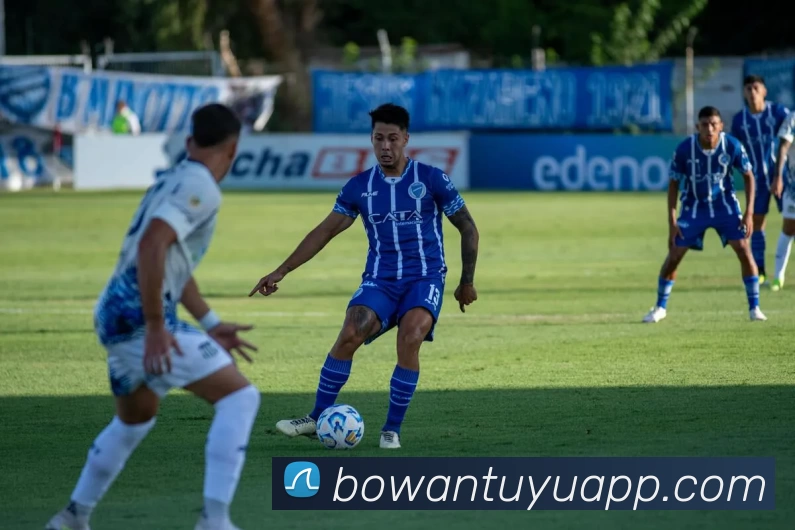 博万体育APP平台生态图